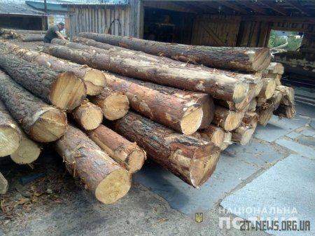 Неподалік Коростишева поліцейські закрили підпільну пилораму по переробці необлікованого лісу