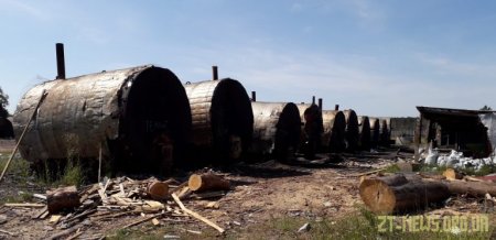 Виїзна робоча група з протидії незаконному виробництву деревного вугілля проінспектувала 5 об'єктів