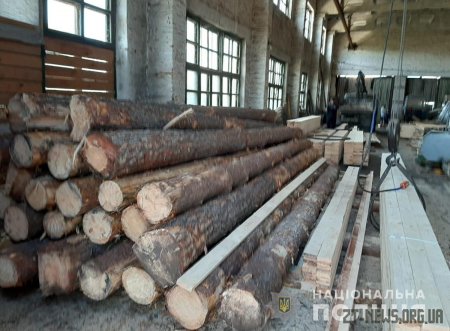 Коростишівські правоохоронці викрили пилораму з необлікованим лісоматеріалом