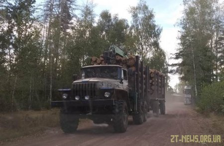 На Житомирщині прикордонники виявили УРАЛ з краденою деревиною
