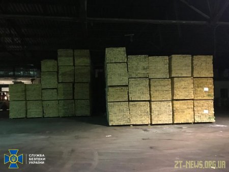 На Житомирщині СБУ викрила організоване угруповання на незаконному експорті деревини до Азії 