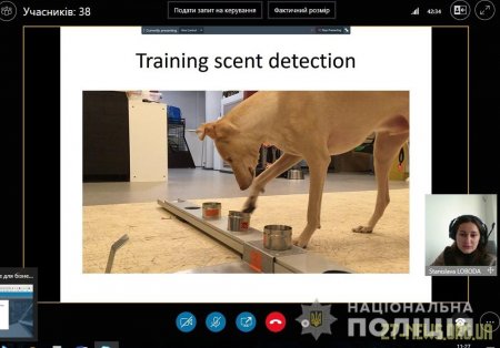 Житомирські кінологи вивчають досвід колег по використанню службових собак у протидії коронавірусу