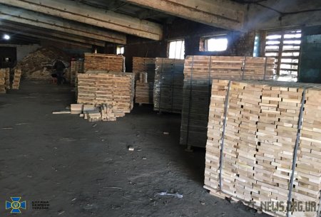 На Житомирщині СБУ блокувала схему незаконного експорту дубових пиломатеріалів на мільйони гривень