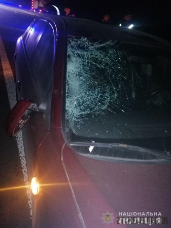 Поблизу Житомира "Hyundai" на смерть збив чоловіка