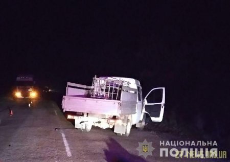 На Житомирщині ГАЗ на смерть збив 62-річного чоловіка