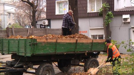 У Житомирі "Зеленбуд" щорічно переробляє на компост від 30 до 50 тонн опалого листя