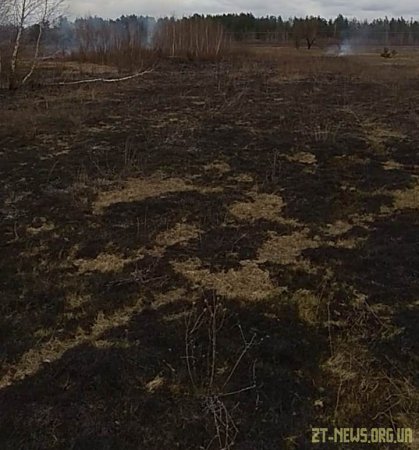 На Житомирщині прикордонники затримали чоловіків, які підпалювали суху траву