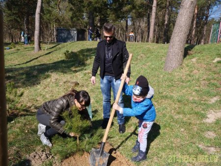 У Житомирі висадили 1000 нових дерев за день