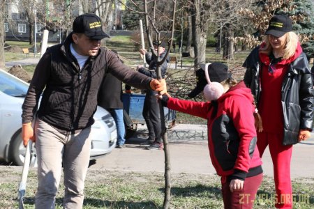 У Житомирі висадили 1000 нових дерев за день