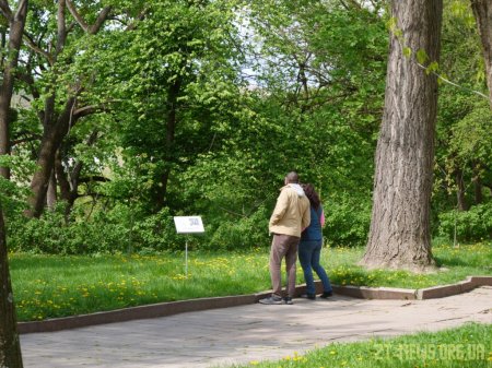Студенти ЖДУ в міському парку встановили поблизу дерев інформаційні таблички з QR-кодами