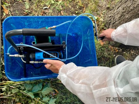 Працівники Зеленбуду у Житомирі лікують каштани від мінуючої молі