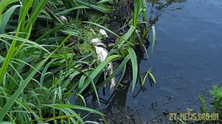 Нечистоти з каналізаційної насосної станції більше не потрапляють у річку Тетерів