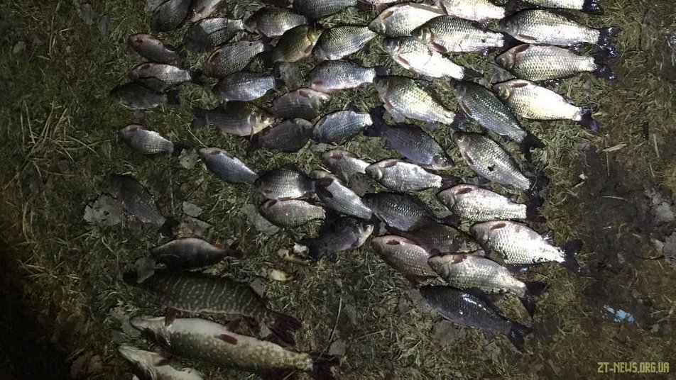 На Житомирщині порушник правил рибальства незаконно виловив понад 30 кілограмів риби