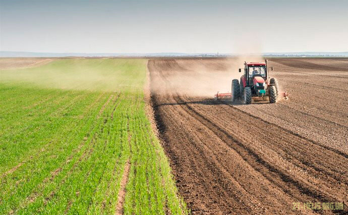 Посівна у 2023 році: аграрії Житомирщини планують збільшити посівні площі під зерновими культурами