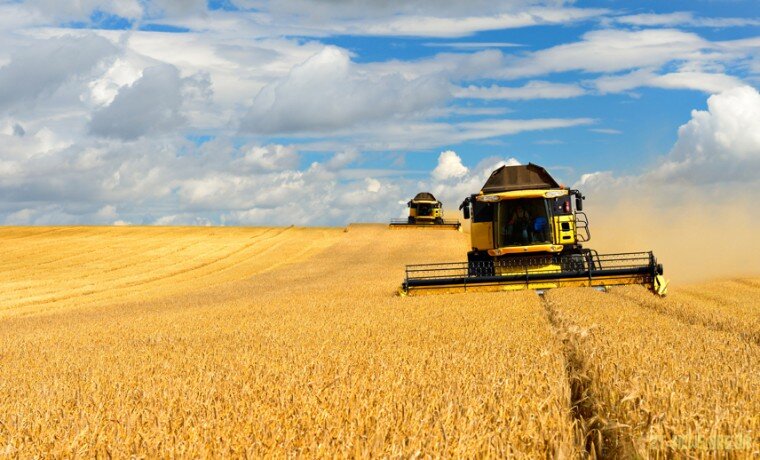 На Житомирщині під урожай 2023 року озимі культури на зерно посіяні на площі понад 160 тис. га