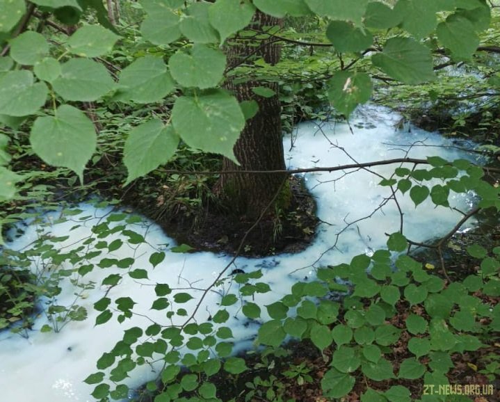 Екоінспекція проводить дослідження за фактом ймовірного забруднення річки поблизу Довжика